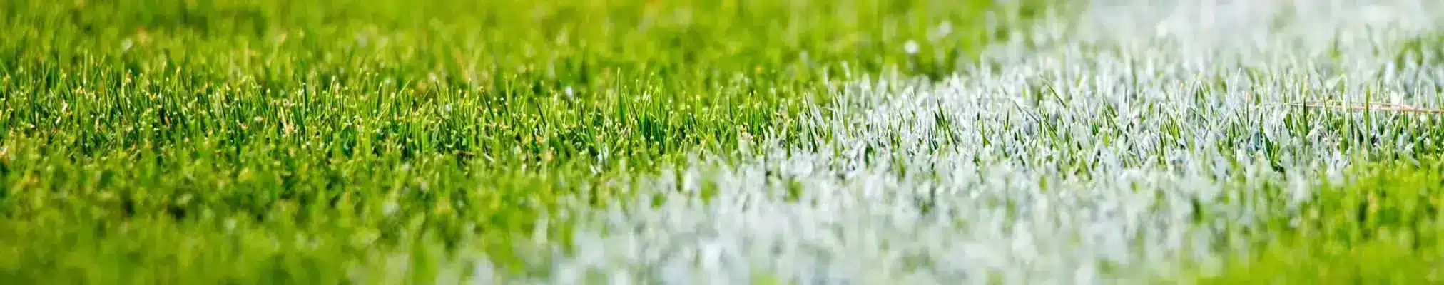 deporte-booking-madrid