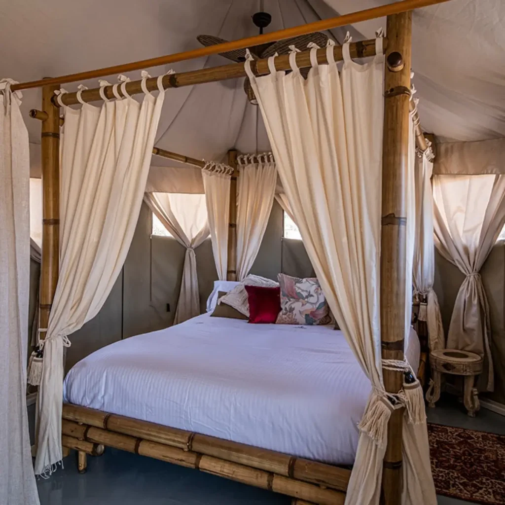 el-toril-glamping-experience-noche-y-desayuno-booking-madrid